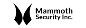 Mammoth Security
